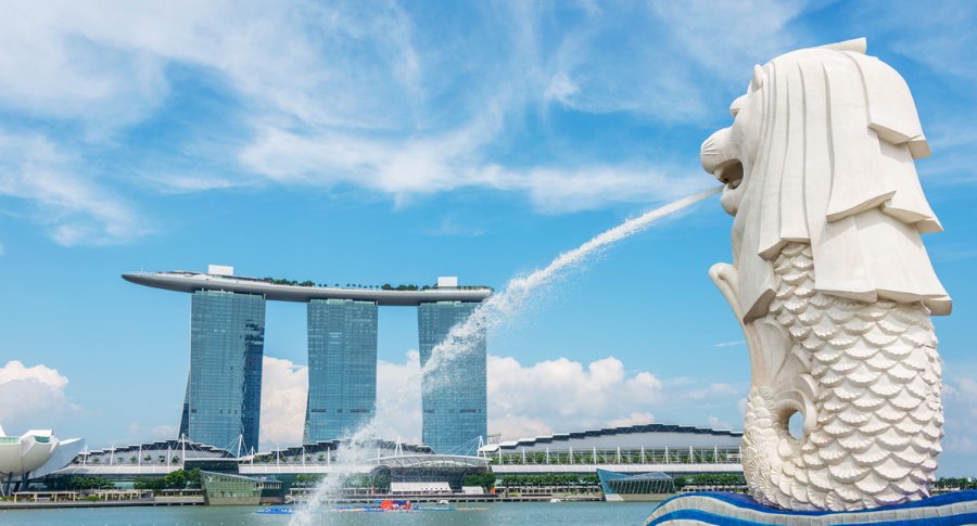 Global Trade Management - truck moving between the trees